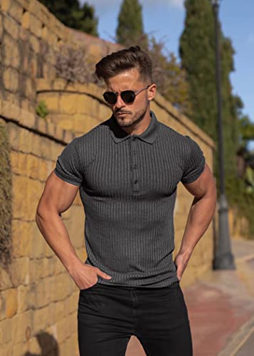 Muscle Polo Shirts for Men Slim Fit Short Sleeve Golf Shirts Men Dry Fit Shirts Casual Stylish Clothes