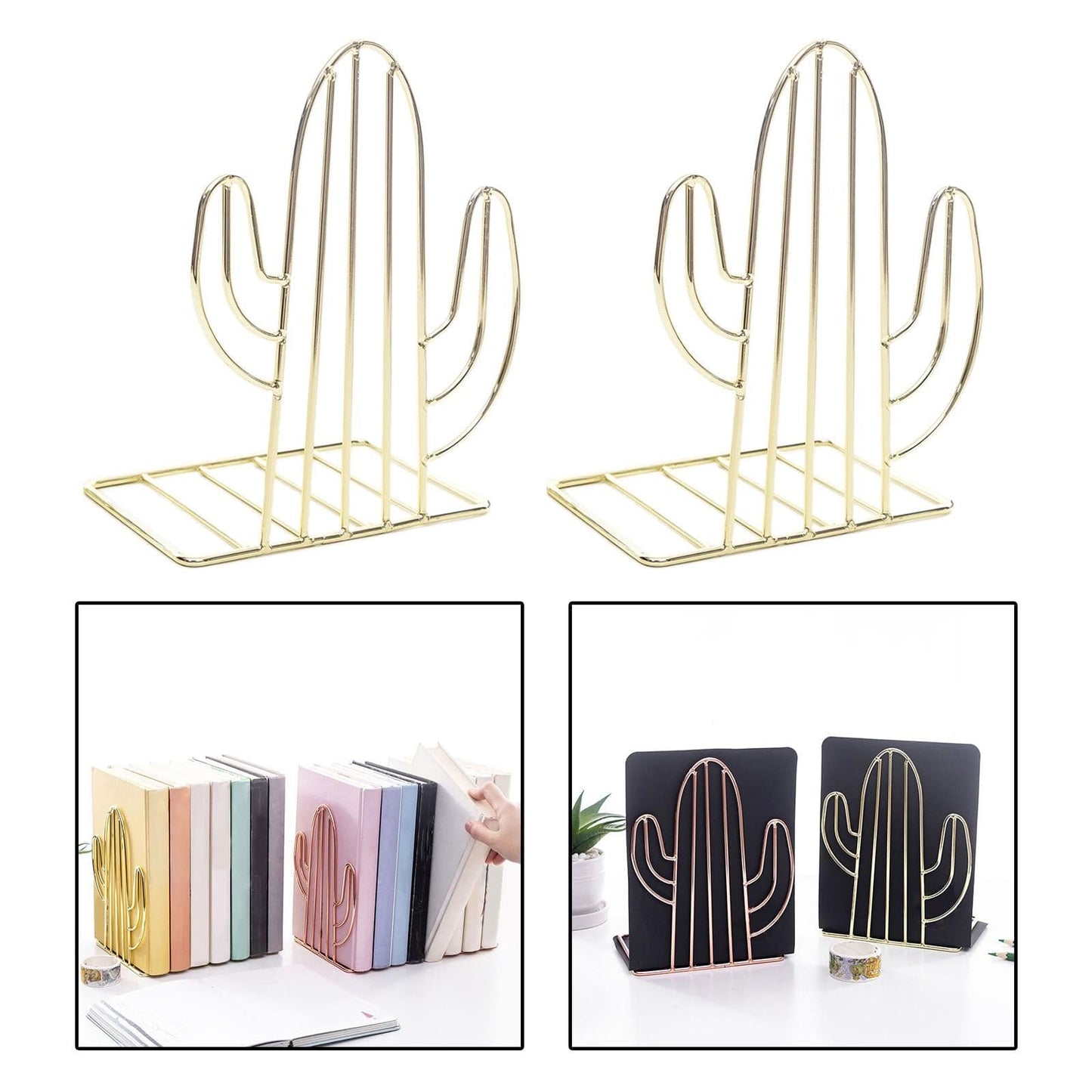 Cactus Bookshelf Holder Xpress