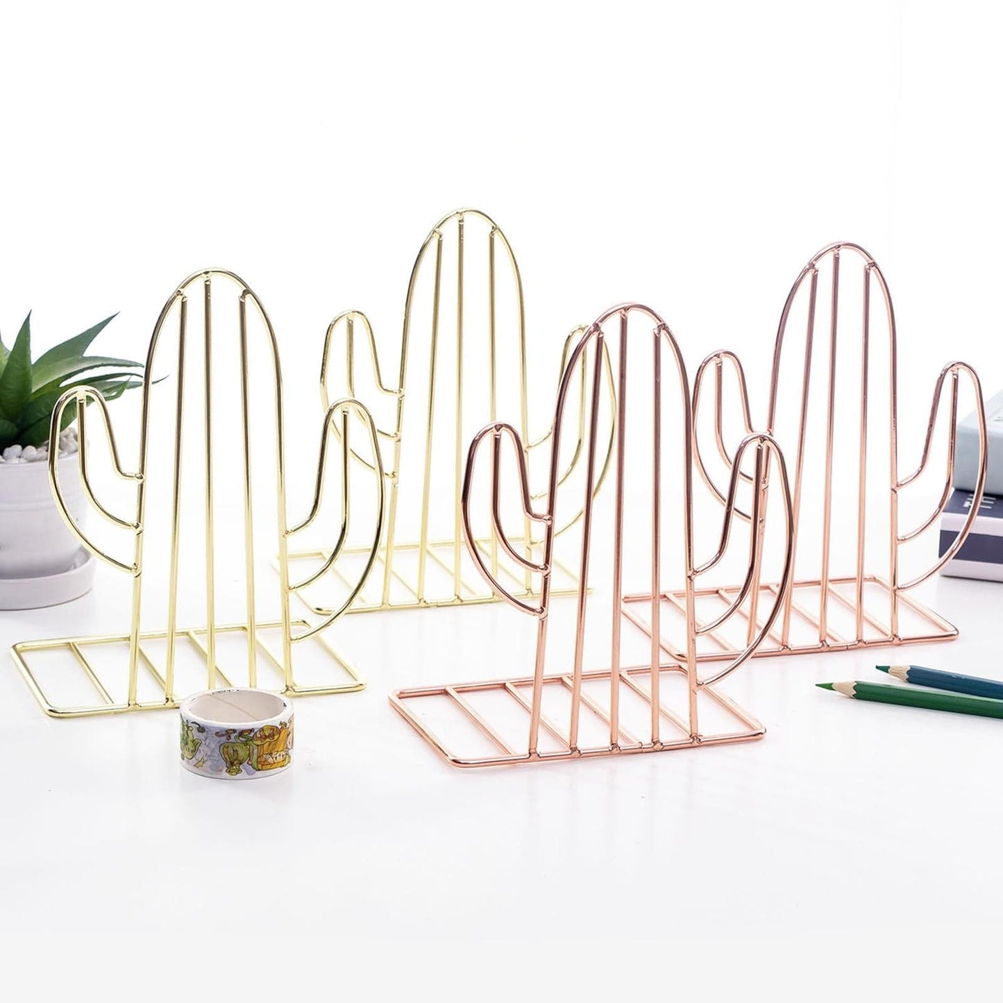 Cactus Bookshelf Holder Xpress