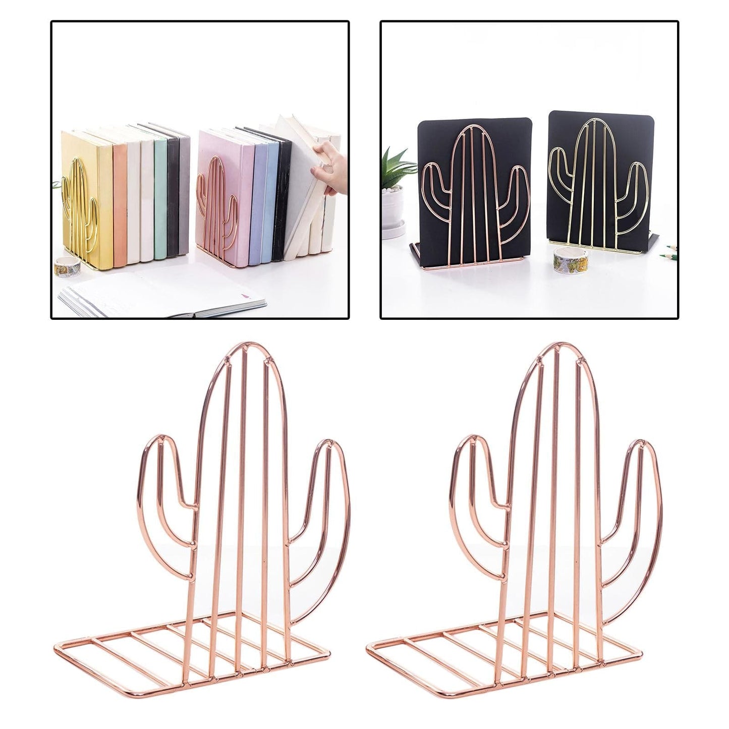 Cactus Bookshelf Holder Xpress