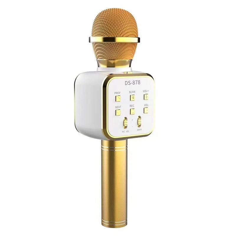 Microphone haut-parleur haut-parleur sans fil Bluetooth