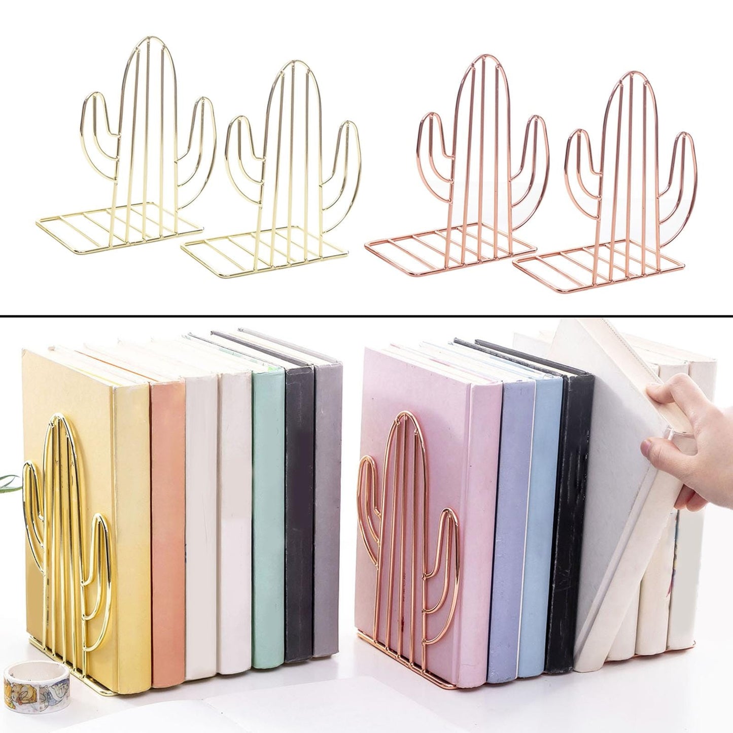 Cactus Bookshelf Holder Xpress