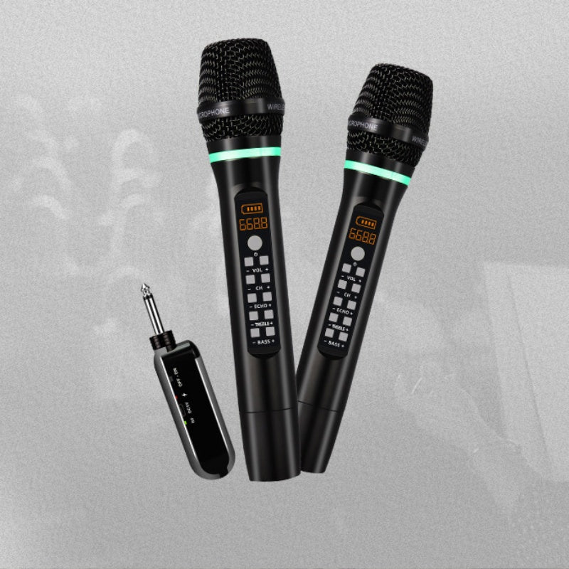 D300U Section Karaoke Universal Microphone FM Wireless Microphone